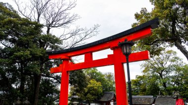 JAPAN, KYOTO Nisan 2024: Kyoto Japonya 'daki Fushimi Inari Taisha' da sakura, kiraz çiçeği 