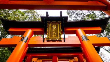 JAPAN, KYOTO Nisan 2024: Kyoto Japonya 'daki Fushimi Inari Taisha' da sakura, kiraz çiçeği 