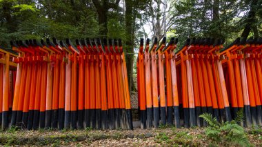 JAPAN, KYOTO Nisan 2024: Kyoto Japonya 'daki Fushimi Inari Taisha' da sakura, kiraz çiçeği 