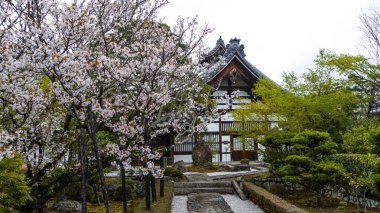 Japonca, KYOTO Nisan 2024: Arashiyama, Kyoto, Japonya 'daki Tenryu-ji Tapınağı