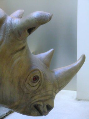Gergedan Galerisi Roma 'da Alda Fendi tarafından, mimar Jean Nouvel tarafından, del Velabro, Roma, İtalya üzerinden kuruldu..
