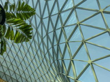 Doha, Katar Haziran 2025, Doha Hamad Uluslararası Havalimanı mimarisi ve meyve bahçesinde kapalı alan.