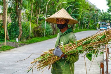 Nuanu Creative City 'de bahçıvan, Ağustos 2025, Bali, Endonezya. Nuanu, Endonezya 'nın Bali kentinde 44 hektarlık bir yaratıcı şehir..          