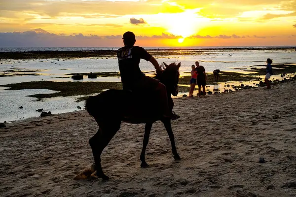 Günbatımında Gili Trawangan, Trawangan, Bali, Endonezya 'da turistler için at kiralama          