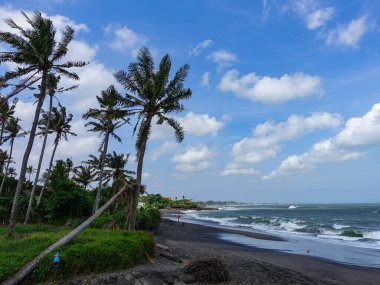 Seseh, Bali, Endonezya 'da bulutlu bir gökyüzüne karşı tropik palmiye ağaçları, Temmuz 2025