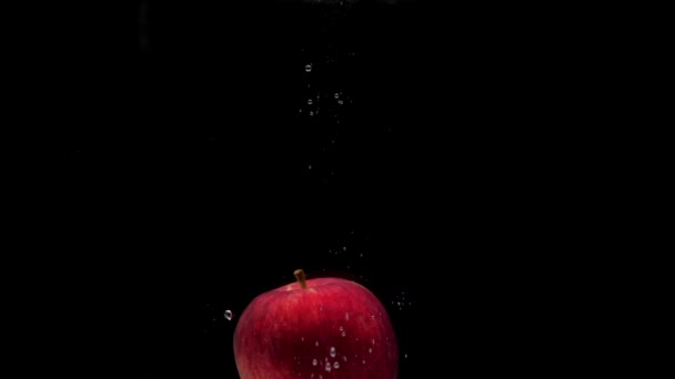 慢动作一个红苹果掉进透明的水黑色背景 漂亮的新鲜水果洒在水族馆里 有机水果 健康食品 — 图库视频影像