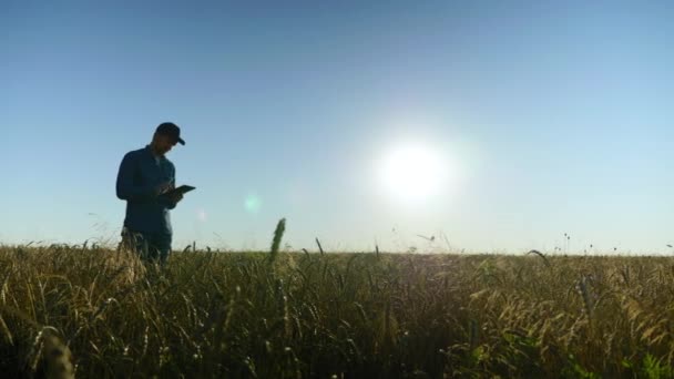 Farmer Businessman Working Tablet Computer While Standing Middle Wheat Field — Αρχείο Βίντεο