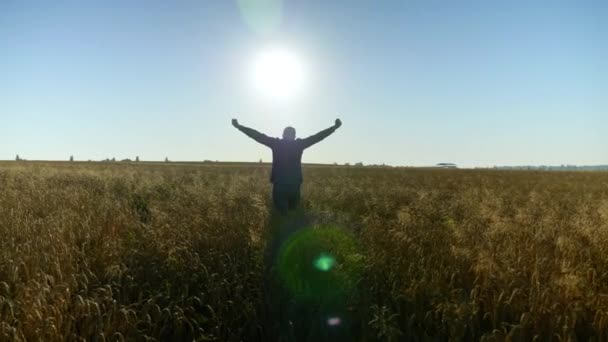 Pengusaha Tani Dengan Tangan Terangkat Berjalan Melalui Ladang Gandum Saat — Stok Video