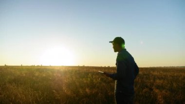Çiftçi işadamı gün doğumunda orta buğday tarlasında dururken tablet bilgisayarda çalışıyor. Adam tablet tıkırtı ekranı kullanıyor, hasat planları yapıyor. Tarım ve tarım teknolojisi kavramı