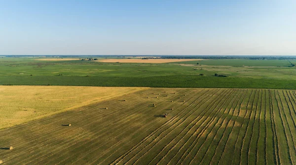 農業分野で農地の上にシラージュの俵を作るバリングマシンと空中ビュートラクター ドローンは干し草を収穫して農業用に干し草を撃ちました 農作物の伐採 収穫の季節 — ストック写真
