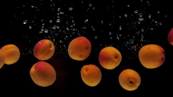 Abricots Mouvement Lent Tombant Dans Eau Transparente Sur Fond Noir — Video