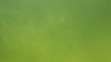 Sarı mürekkep akrilik boya suda karışıyor, suyun altında yavaşça dönüyor. Akvaryumdaki renkli sitrik akrilik boya bulutu. Soyut duman patlaması animasyonu. Güzel sanat arka planı