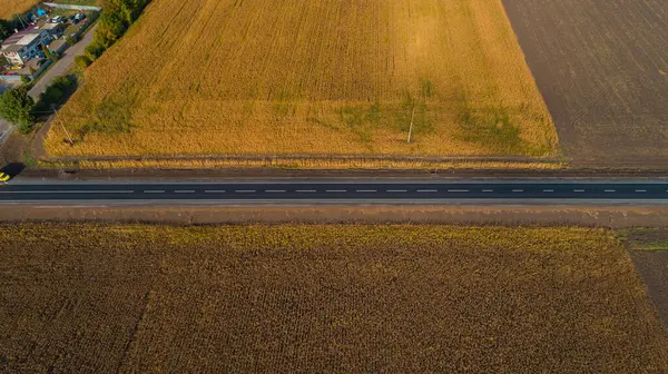 ドローン空中ビュー太陽の日に夏の花とトウモロコシのフィールド間の新しいアスファルト道路 ストック写真