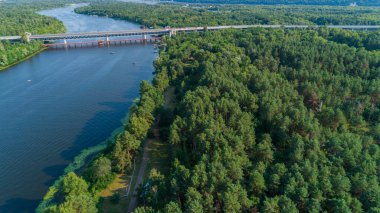 Aerial view summer forest and river in sunny day. Drone shot beautiful nature landscape, green trees