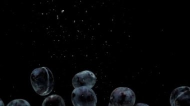 Yavaş hareket eden mavi erikler siyah arkaplanda şeffaf suya düşüyorlar. Güzel taze meyveler akvaryuma sıçrıyor. Organik meyveler, sağlıklı yiyecekler, diyet, hava kabarcıkları