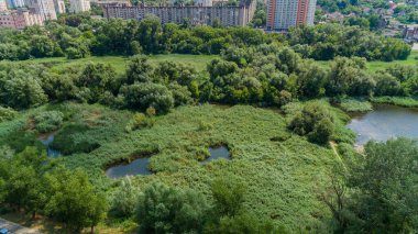 Drone aerial view marshy lake in the metropolis, summer nature in sunny day, green trees