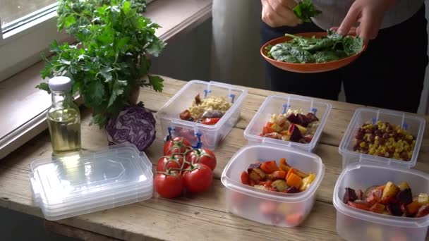 Mahlzeitenzubereitung Hausgemachtes Essen Zum Mitnehmen Plastikbehältern Frau Kocht Gesundes Büro — Stockvideo