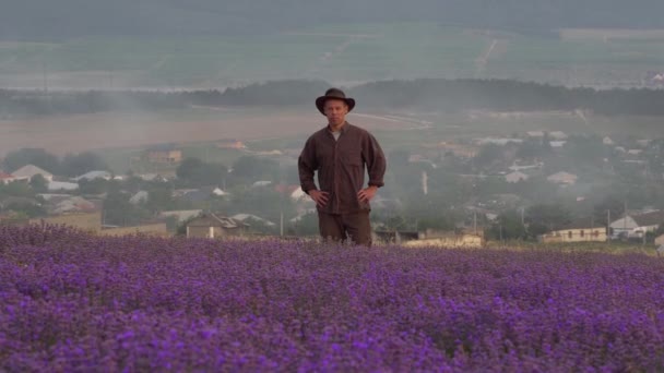 薰衣草农场田里的农夫精油生产 高质量的4K镜头 — 图库视频影像