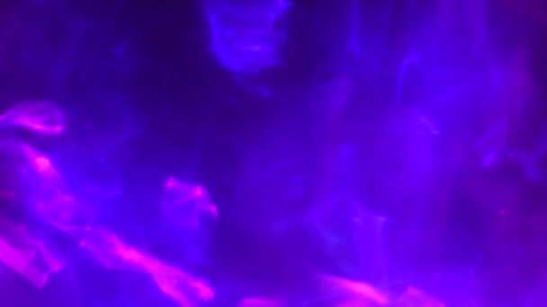 Неоновий Фіолетовий Пурпуровий Гарячий Рожевий Темно Синій Кольори Боке Оптична — стокове відео