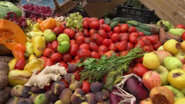 Hasatta Kaybolan Yiyecekler Taşımacılık Depolama Veya Işleme Alanındaki Perakende Pazarına — Stok video