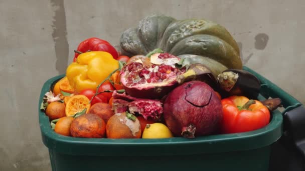 Verwend Verrot Fruit Groenten Prullenbak Voedselverspilling Crisis Hoge Kwaliteit Beeldmateriaal — Stockvideo