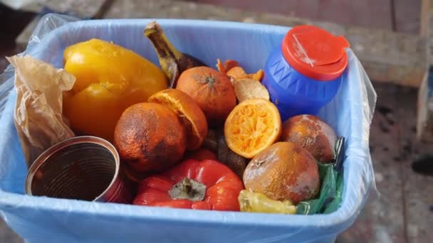 Élelmiszer Pazarlás Háztartásokban Elkényeztetett Romlott Gyümölcsök Zöldségek Ételrombolás Pazarlás Otthon — Stock videók