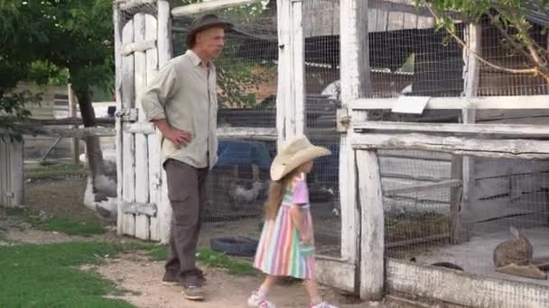 小さな家族の家畜農場 父親は娘を持つ農家です オランダの窒素肥料危機 高品質4K映像 — ストック動画