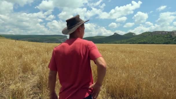 Buğday Tarlasında Üzgün Bir Çiftçi Gıda Krizi Ihracat Sorunları Azot — Stok video
