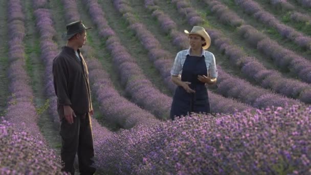 Hollanda Tarım Sektörü Çiçek Tarlasında Üzgün Çiftçiler Nitrojen Gübresi Kullanımının — Stok video