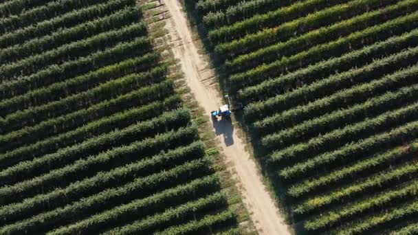 네덜란드의 농부들 배출을 줄인다 고품질 — 비디오