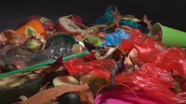 Marnotrawstwo Żywności Żywność Odpady Organiczne Utrata Żywności Plastikowe Butelki Opakowania — Wideo stockowe