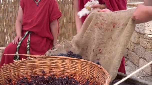 Young Greek Woman Crushes Grapes Her Feet Grape Foot Stomp — Stock Video