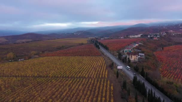 Rows Vines Mountain Slopes Valley Winemaking Mediterranean Wine Region Aerial — Stockvideo