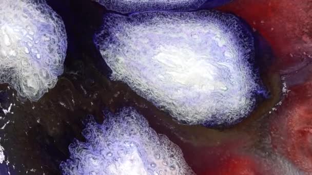 Фиолетово Красные Чернила Взрывной Макрос Жидкий Мрамор Жидкое Искусство Чернильный — стоковое видео