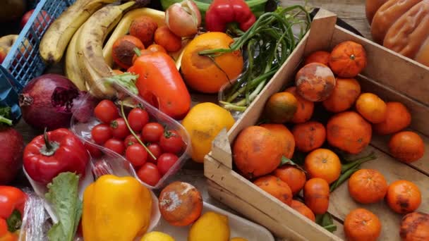 Непродаваемые Фрукты Овощи Пластиковой Упаковке Выброшены Свалку Пищевые Отходы Потери — стоковое видео