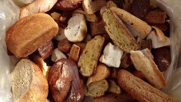Suchý Nesnězený Chleba Kruhová Ekonomika Chleba Recyklace Chleba Plýtvání Neprodané — Stock video