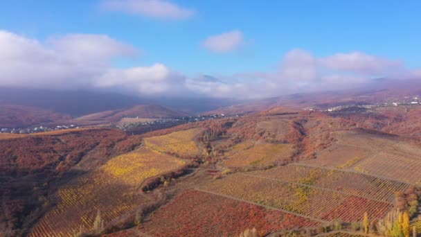 Виноградники Холмах Италии Тоскана Вид Воздуха Высококачественные Кадры — стоковое видео