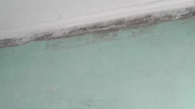 Evde küf var. Yoğunlaşma, rutubet ve küf. Yüksek kalite 4k görüntü