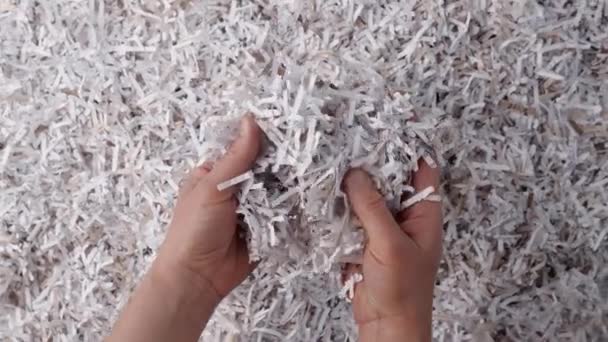 Papier Versnipperd Voor Verpakking Verzending Mulch Compost Wormbak Hergebruik Recycling — Stockvideo