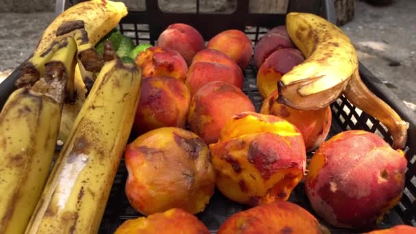 Yiyecek Atıkları Satılmamış Yiyecekleri Çöpe Atmak Bozuk Meyve Sebzeler Yüksek — Stok video