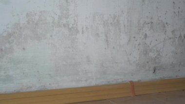 Evde küf var. Yoğunlaşma, rutubet ve küf. Yüksek kalite 4k görüntü