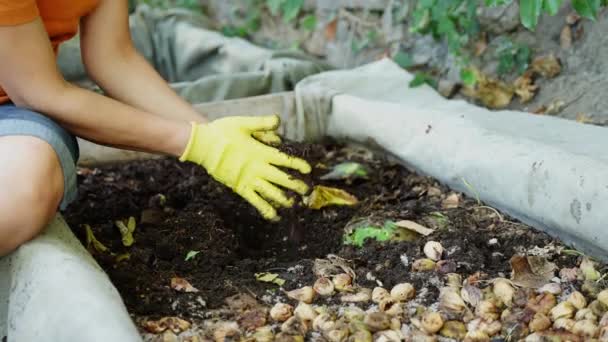 버미컴포스트는 지렁이에 유기농 쓰레기의 분해의 제품입니다 고품질 — 비디오