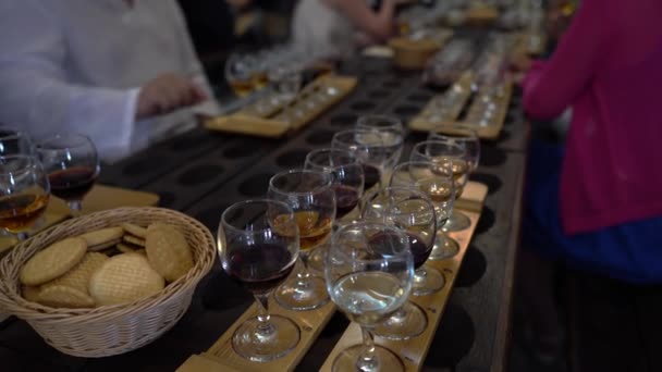 ワインテイスティング 生産者のワインセラーでワインのテイスティングルーム 高品質の4K映像 — ストック動画