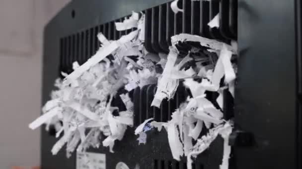 Pappersfragmenteringsmaskin Högkvalitativ Film — Stockvideo
