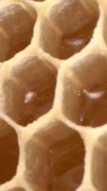 Balmumu makronun balmumu hücreleri. Bal peteğinde çiğ organik bal. Nectar 'dan Honey' e. Yüksek kalite 4k görüntü