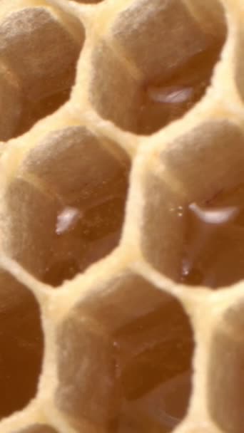 Méhsejt Makró Viaszsejtjei Nyers Organikus Méz Méhsejtben Nectartól Honey Kiváló — Stock videók