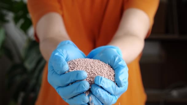 Mineralische Chemische Düngemittel Den Händen Eines Bauern Pflanzen Anbauen Hochwertiges — Stockvideo
