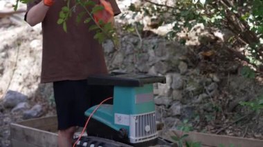 Ezici öğütücü kullanarak evde saman yapmak. Bahçe ve bahçe atıkları. Yüksek kalite 4k görüntü