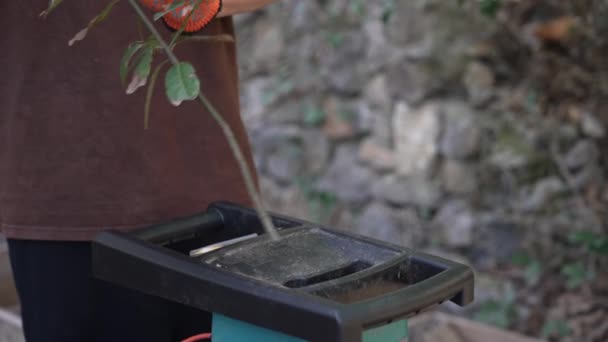 Shredder Pemotong Kayu Cabang Dan Ranting Lebat Dengan Cepat Dipotong — Stok Video