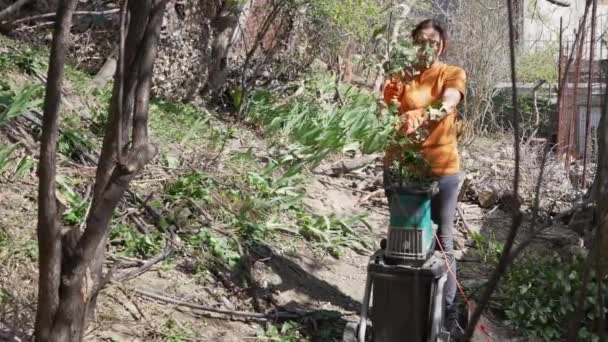 Mulher Usando Triturador Jardim Elétrico Para Ramos Arbustos Eliminação Resíduos — Vídeo de Stock